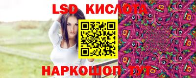 мяу мяу мука Будённовск