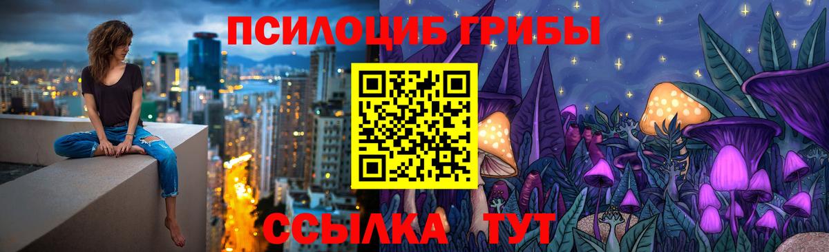 Псилоцибиновые грибы Psilocybine cubensis  Псилоцибиновые грибы MAGIC MUSHROOMS  Вход с VPN  Корсаков 